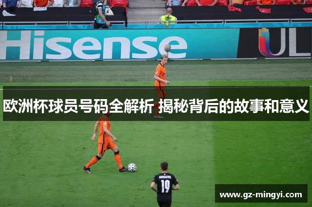 欧洲杯球员号码全解析 揭秘背后的故事和意义