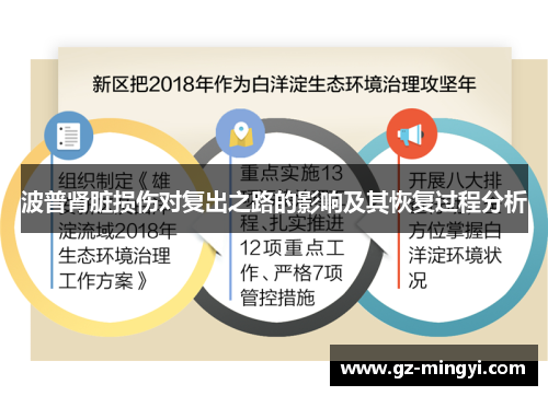 波普肾脏损伤对复出之路的影响及其恢复过程分析