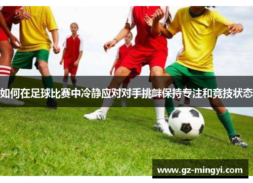 如何在足球比赛中冷静应对对手挑衅保持专注和竞技状态