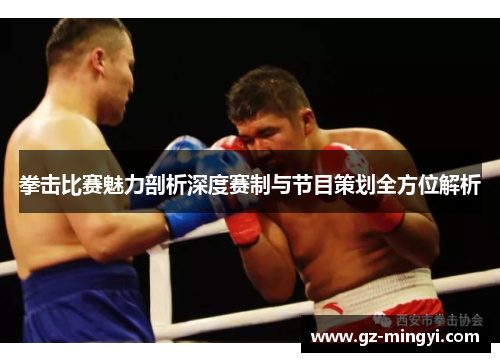 拳击比赛魅力剖析深度赛制与节目策划全方位解析 拳击比赛魅力剖析深度赛制与节目策划全方位解析